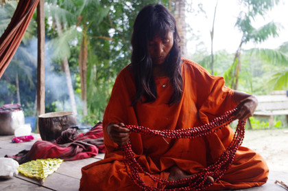 Amazônia: un combat pour la préservation de notre environnement