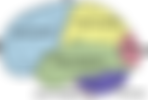 La relève : tout sur le cerveau avec G. de Lavillé...