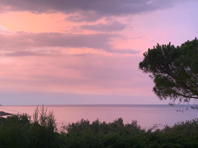 Épisode Voix enchantées épisode 9 - Romain de l'émission Voix enchantées