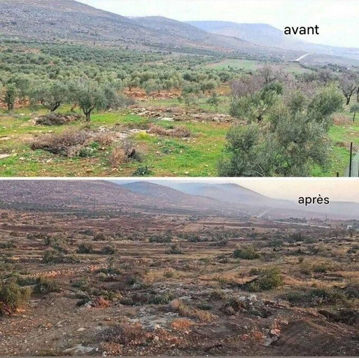 Épisode Bédouins et agriculture en Palestine de l'émission Les Voix du Crépuscule