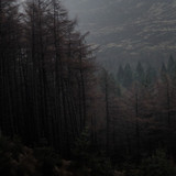 Amplitudes : Best of 2016