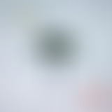 Tropical Club Plage #36