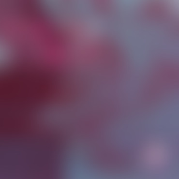 BRTZ Podcast / Les Frères Pastor