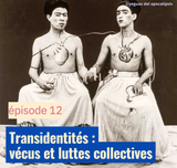 Transidentités : vécus et luttes collectives