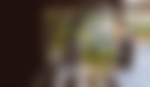 LPQR / Des fouilles dans mon jardin