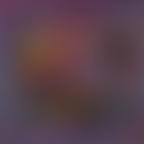 The Legendary Pink Dots, « Asylum » (Ep.31)