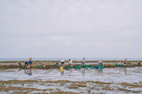 Blutopia : préserver l'océan, manger autrement