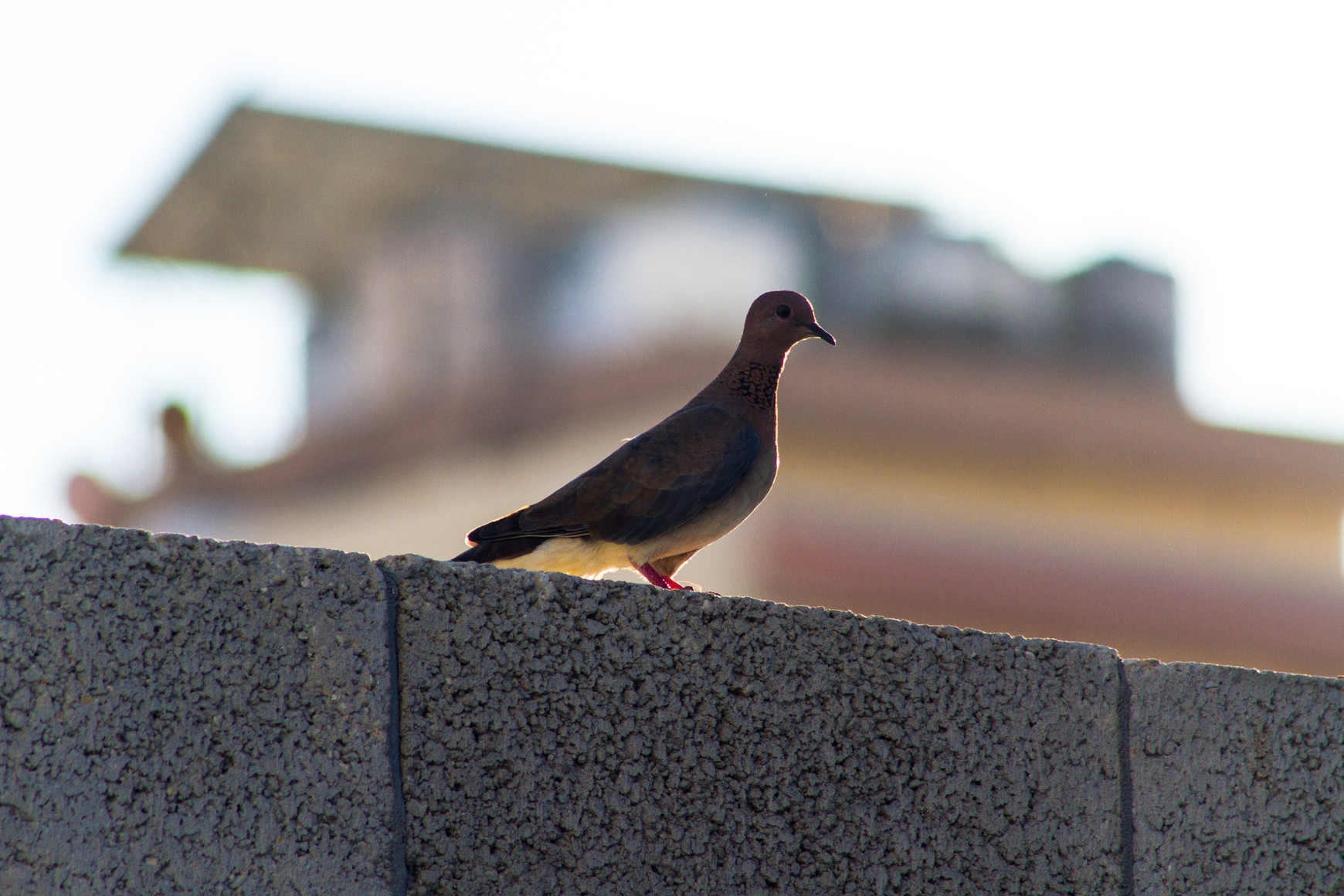 ©براء حبوش/Unsplash Proche-Orient : L’onde de choc en Europe - AntiClash #2