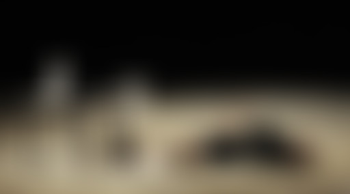 Lâchons les chiens !