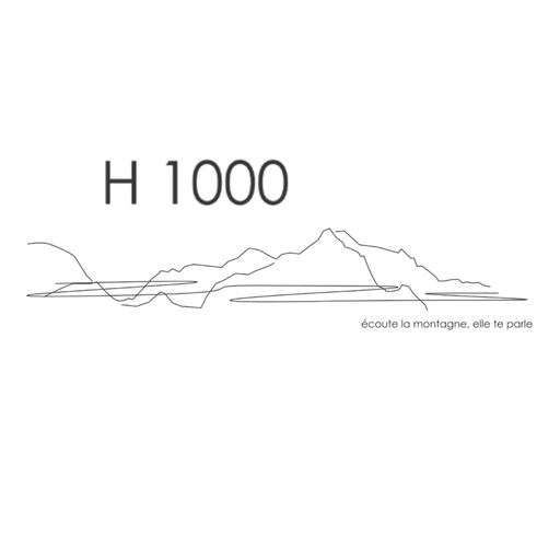 H1000