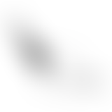 ORNC : Les aventures de Robin des Bois, 1938