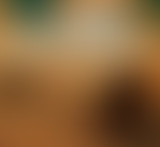 Ricky Saï Saï @ Bam Salute Show