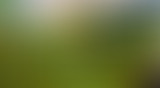 Récréation Sonore : La nature #1  // 9 mai 2021