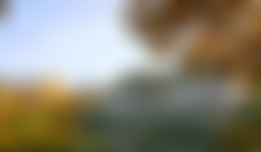 Mappemonde : Varsovie