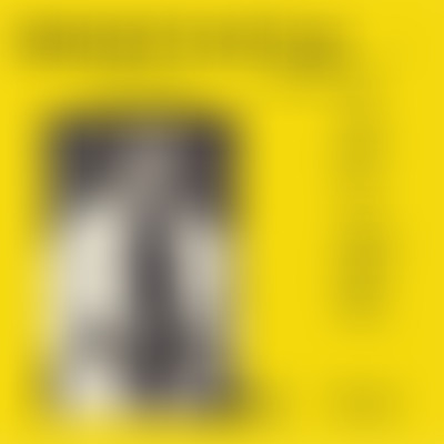 Ligue des Albums Incompris (Ep.38) PALMER ROCKEY episode artwork