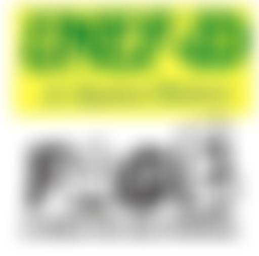 Remue-mémoires : la bataille du CNESER, 1994-1996