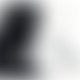 Tiwony @ Bam Salute Show