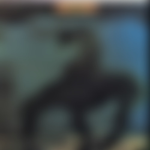 The Beach Boys — Surf's Up, 1971 (Ep. 26)