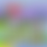 BRTZ Podcast - Les grosses news de Février