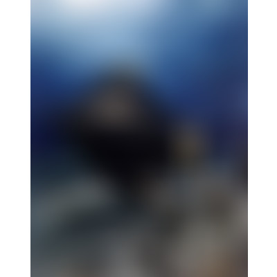 Mercredi ! À la découverte du Nautilus episode artwork