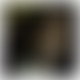 Bam Salute special Michael Prophet & Marley's Kids