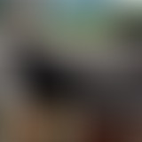 La Séance du dimanche #17 : Grizzly Man et les pér...