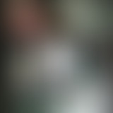 La bouquinerie jeunesse // Estelle Faye