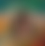 Sandwich Triangle / Dj ****