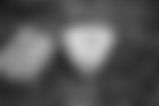 La Mensuelle : ZAD post-victoire // ONET et Holida...