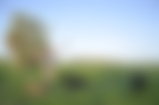 Récréation sonore: Nouvel An en terres aborigènes