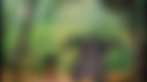 Ma ligne de chance - La chanson de Baloo et Épicur...