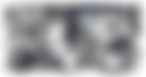 La Bouquinerie : les siestes de Bastien Lallemant