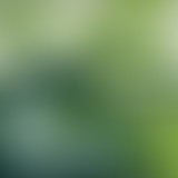 Yummy : puissance Fuzz & douceurs pop