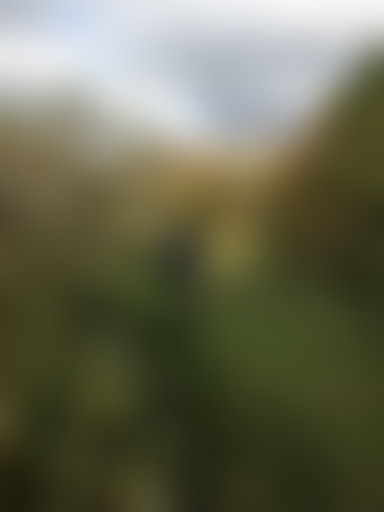 Espèces d'espace // Javel André Citroen