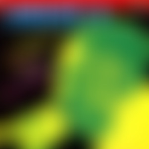 Bam Salute ina Roots and Dance Hall Style