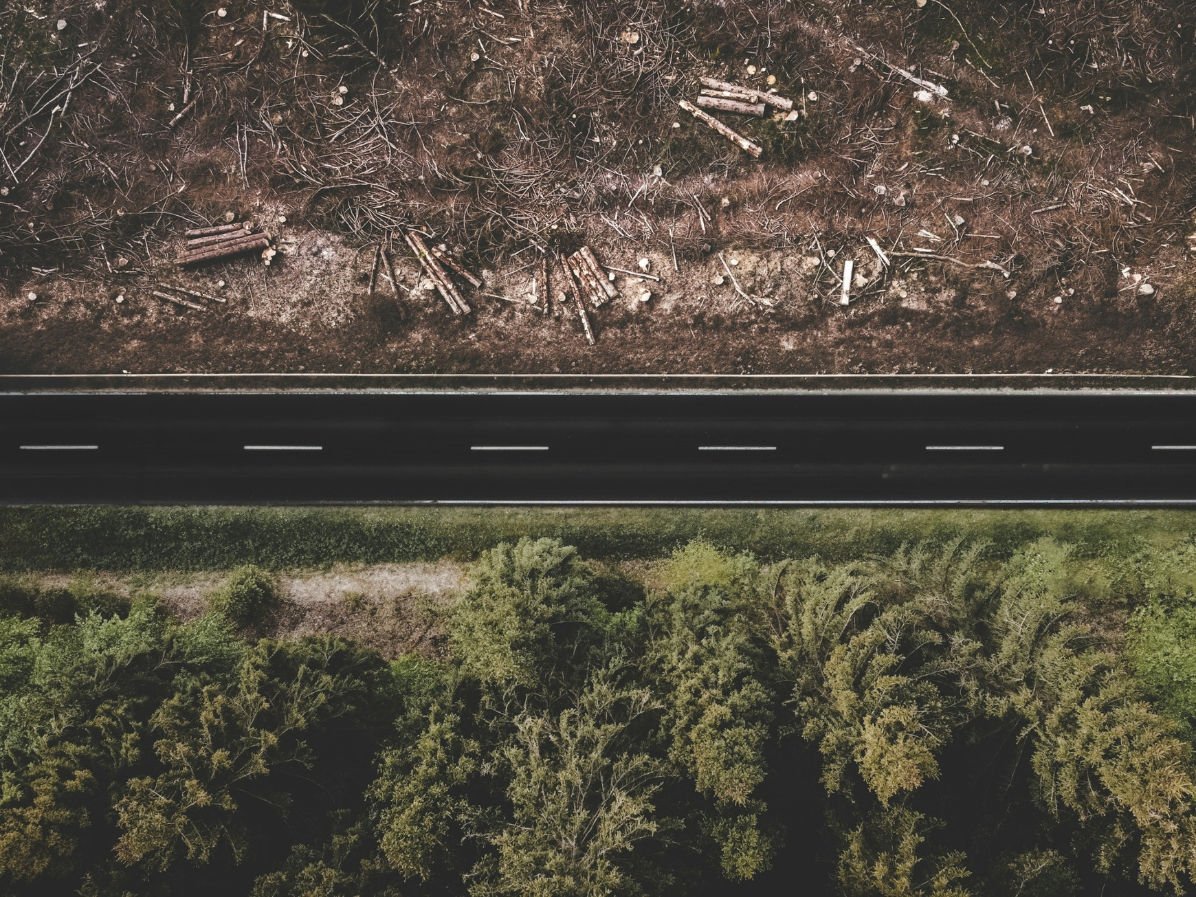 © Justus Menke via Unsplash La déforestation importée a la peau dure