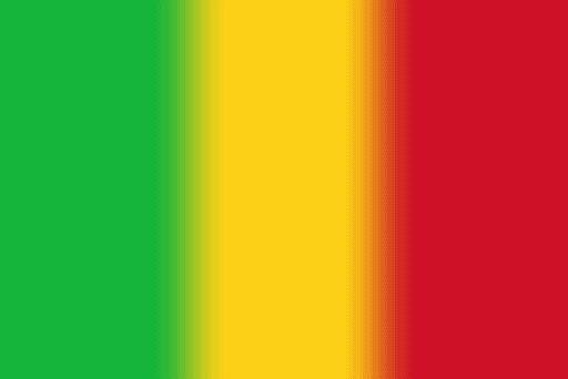 La diaspora malienne en Ile-de-France