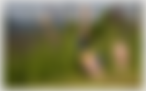 LES FESSES A L'AIR : Les lieux de l'amour