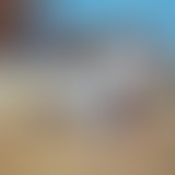 Studio articho – 24 – Group Ludic