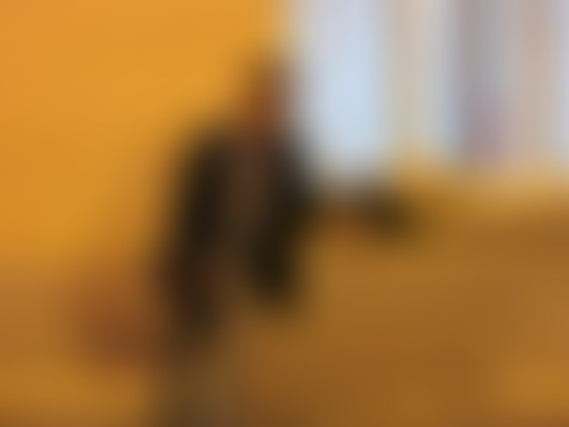 Yummy 02-11-15 : Juan Wauters