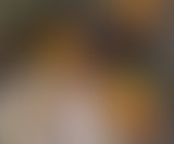 Déshabillez-moi - Entretiens au bord de la mort