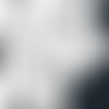 Fine Cuts de Fin d'année !