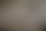 Chablis Hebdo : Chablis est bio