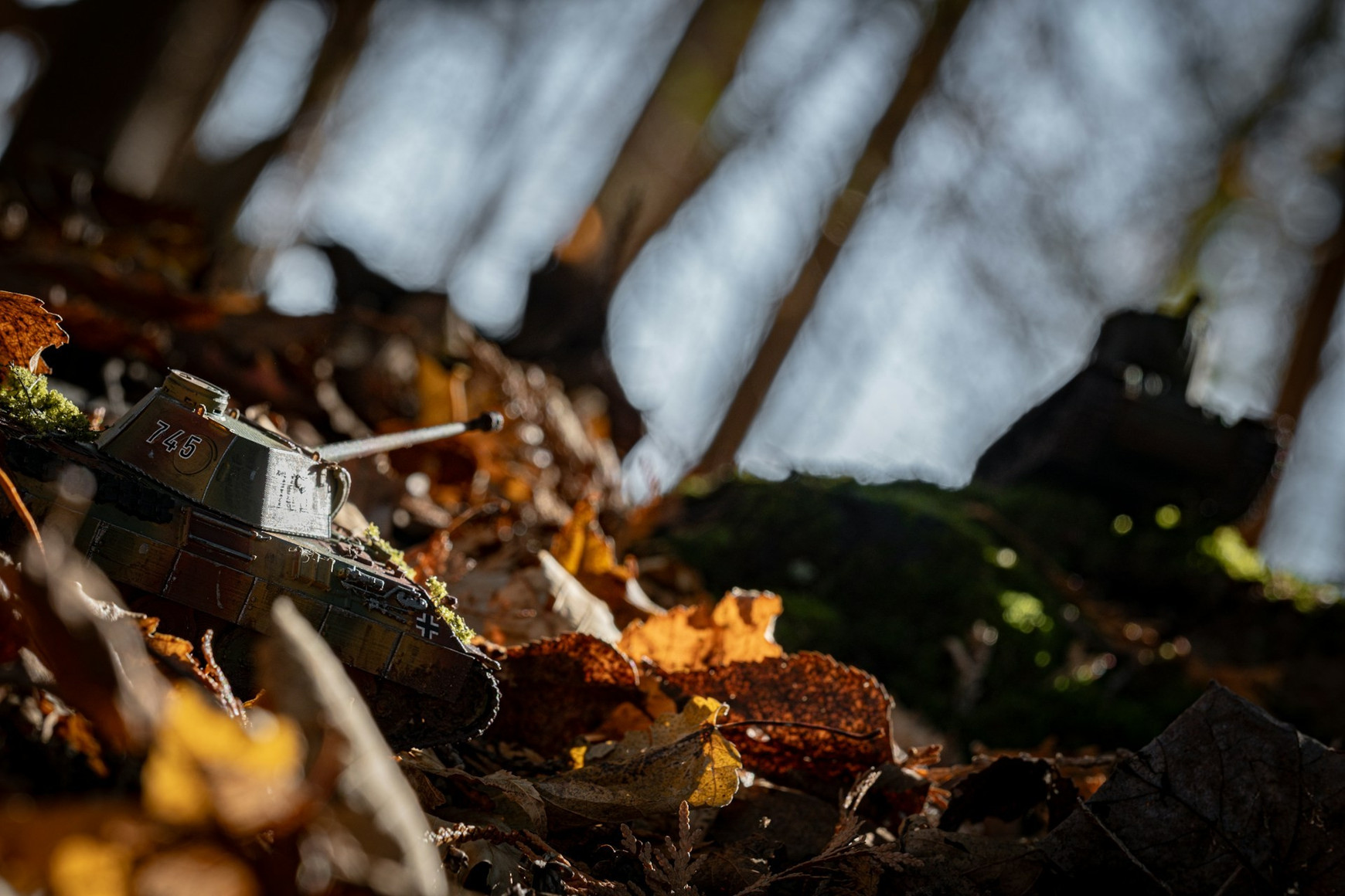 Photo de Alexandre Daoust sur Unsplash Armez-vous, c’est durable !