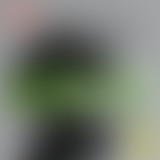 MÉDOC | Entendre les couleurs - Portrait de Neil H...