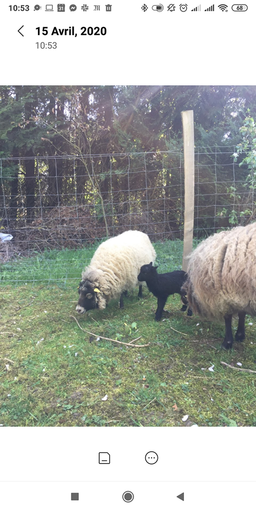 Épisode EN SCRED 15/04 : est-ce qu'on se connaît vraiment... de l'émission En Scred