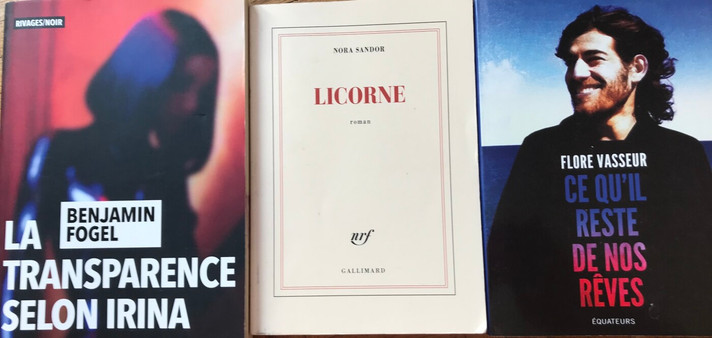 Épisode [NumerX] Les romans d'Internet B Fogel N Sandor et... de l'émission Numer'X