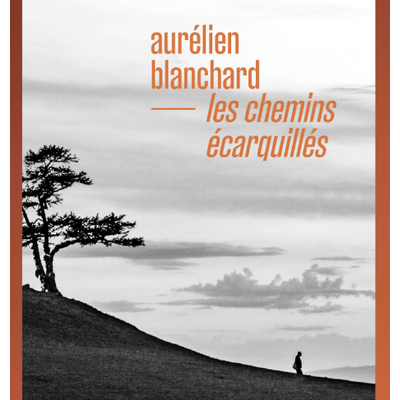 Les chemins écarquillés Aurélien Blanchard  (Ed Christian Bourgois) episode artwork