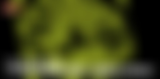 Fine Cuts avec A Cat Called Fritz et Lemdi & Moax!