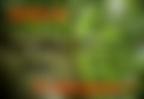 Pièces détachées : Une place pour l'émergence ?